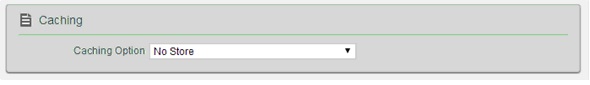 From the Caching Option list, select No Store